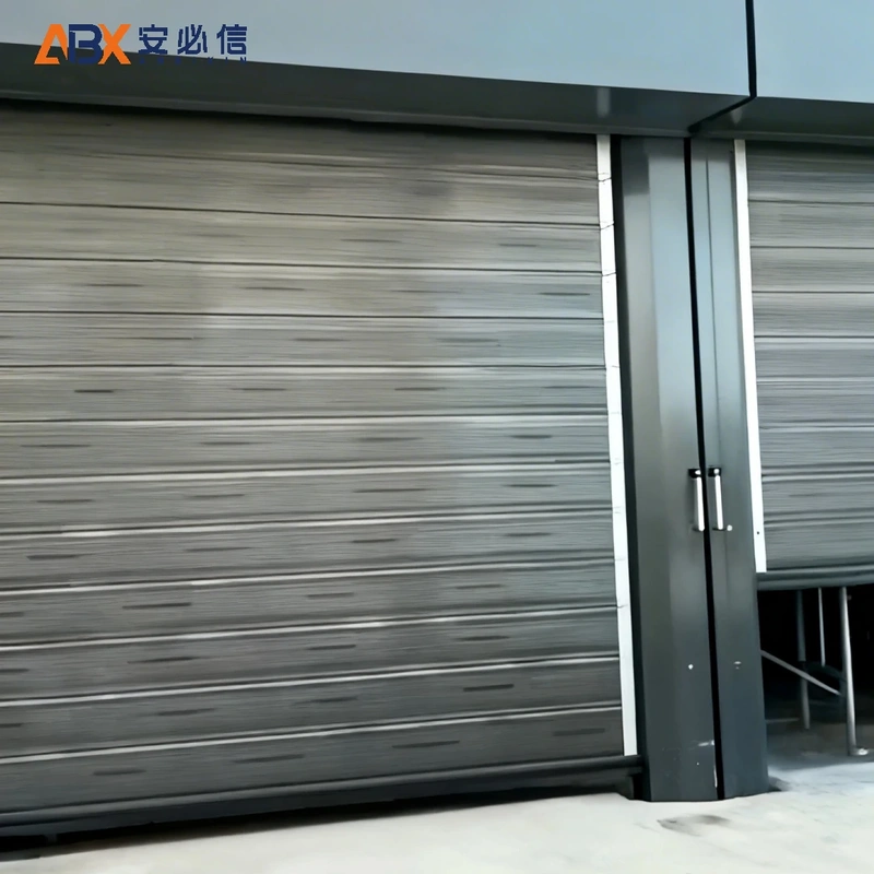 白城市感应高速门